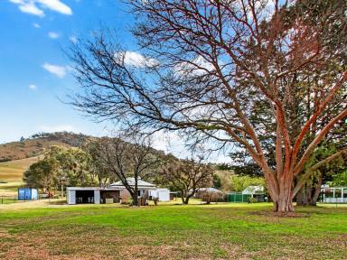 House For Sale - VIC - Swifts Creek - 3896 - COUNTRY HOME AND 3 ACRES ON THE TAMBO RIVER  (Image 2)