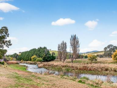 House For Sale - VIC - Swifts Creek - 3896 - COUNTRY HOME AND 3 ACRES ON THE TAMBO RIVER  (Image 2)