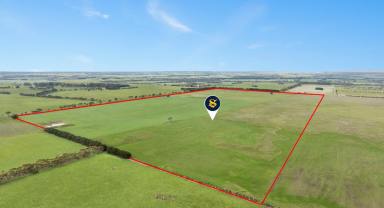 Livestock For Sale - VIC - Winchelsea - 3241 - HEALTHY VERSATILE WINCHELSEA COUNTRY  (Image 2)