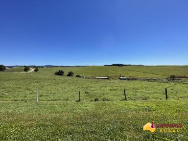 Other (Rural) For Sale - QLD - Tarzali - 4885 - Seamark  (Image 2)