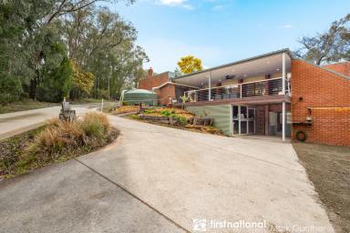 House For Sale - VIC - Chum Creek - 3777 - Spacious Double Brick Home on Nearly an Acre – Your Country Retreat Awaits  (Image 2)