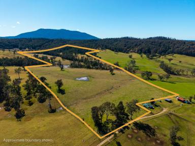 Residential Block For Sale - NSW - Cobargo - 2550 - COASTAL ACREAGE RETREAT - 112 ACRES OF RURAL CHARM  (Image 2)