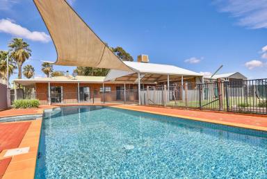 House For Sale - VIC - Merbein - 3505 - YOUR DREAM LIFESTYLE AWAITS!  (Image 2)