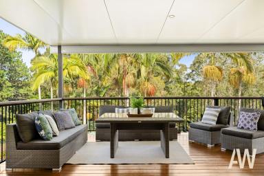 Acreage/Semi-rural For Sale - QLD - Palmwoods - 4555 - Palmwoods Lifestyle Property That Really Does Have It All (Image 2)