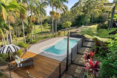 Acreage/Semi-rural For Sale - QLD - Palmwoods - 4555 - Dual Occupancy Luxury Acreage Living (Image 2)