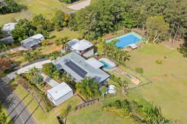 Acreage/Semi-rural For Sale - QLD - Palmwoods - 4555 - Dual Occupancy Luxury Acreage Living (Image 2)