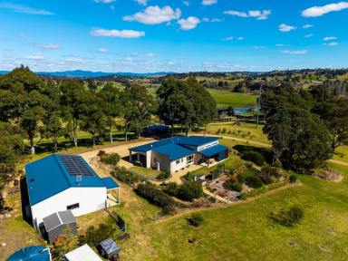 Acreage/Semi-rural For Sale - NSW - Bega - 2550 - MODERN HOME ON 4.6 ACRES!  (Image 2)