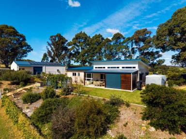 Acreage/Semi-rural For Sale - NSW - Bega - 2550 - MODERN HOME ON 4.6 ACRES!  (Image 2)