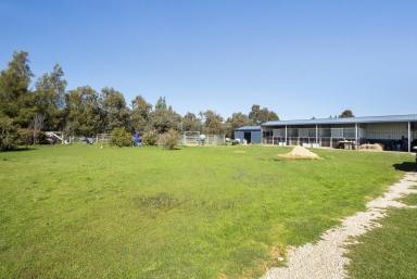 Acreage/Semi-rural For Sale - WA - Hamel - 6215 - Elegant Equestrian Lifestyle Retreat – 5 Acres of Premium Potential  (Image 2)