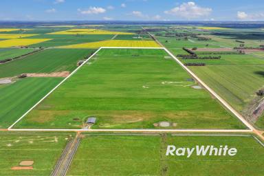 Cropping For Sale - VIC - Echuca West - 3564 - 317 Acres / 128 Ha - Prime Irrigation Country  (Image 2)