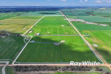 Cropping For Sale - VIC - Echuca West - 3564 - 317 Acres / 128 Ha - Prime Irrigation Country  (Image 2)