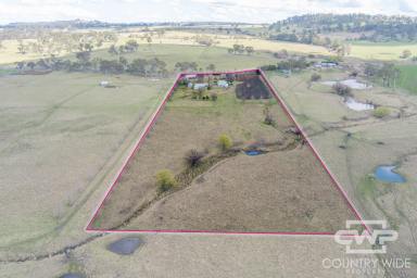 Mixed Farming For Sale - NSW - Glen Innes - 2370 - Family Home on Acreage 5 Minutes From Town  (Image 2)