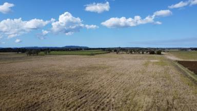 Mixed Farming For Sale - NSW - East Coraki - 2471 - 39.6 Ha (97acres) MIXED FARMING  (Image 2)