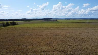 Mixed Farming For Sale - NSW - East Coraki - 2471 - 39.6 Ha (97acres) MIXED FARMING  (Image 2)