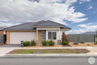 House For Sale - VIC - Lucas - 3350 - Parkside Family Living In Lucas  (Image 2)
