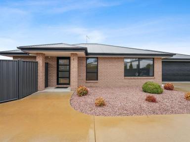 House For Lease - TAS - Legana - 7277 - High quality living in Legana  (Image 2)