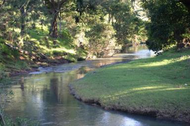 Lifestyle For Sale - NSW - Kyogle - 2474 - LUCRATIVE HOLIDAY ACCOMODATION AND CATTLE PROPERTY  (Image 2)