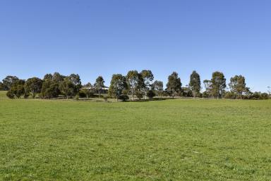 Mixed Farming For Sale - SA - Coonalpyn - 5265 - Talmara & Talmara North  (Image 2)