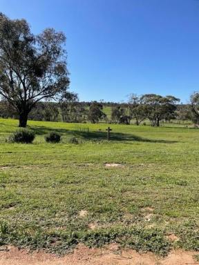 Lifestyle For Sale - WA - York - 6302 - FIRST TIME OFFERED  (Image 2)