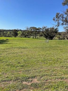 Lifestyle For Sale - WA - York - 6302 - FIRST TIME OFFERED  (Image 2)