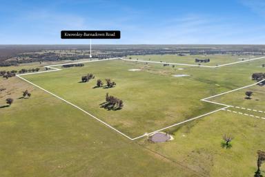 Mixed Farming For Sale - VIC - Knowsley - 3523 - Significant Acreage Opportunity - Knowsley  (Image 2)