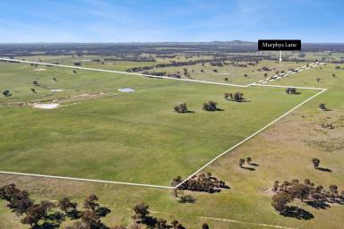 Mixed Farming For Sale - VIC - Knowsley - 3523 - Significant Acreage Opportunity - Knowsley  (Image 2)