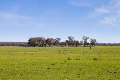 Mixed Farming For Sale - VIC - Knowsley - 3523 - Significant Acreage Opportunity - Knowsley  (Image 2)