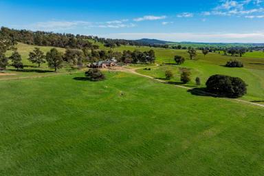 Mixed Farming For Sale - NSW - Wagga Wagga - 2650 - The Ultimate Rural Lifestyle on Wagga’s Doorstop  (Image 2)