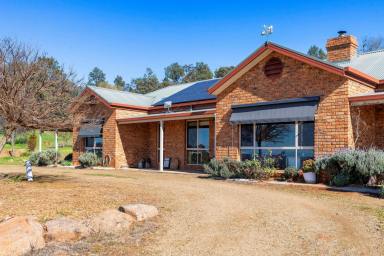 Mixed Farming For Sale - NSW - Wagga Wagga - 2650 - The Ultimate Rural Lifestyle on Wagga’s Doorstop (Image 2)