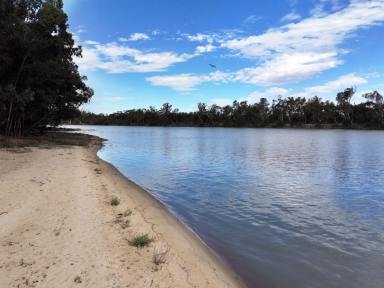 Lifestyle For Sale - NSW - Wentworth - 2648 - PRIVATE ISLAND ON THE RIVER  (Image 2)