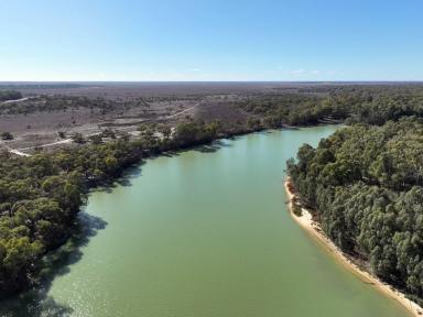 Lifestyle For Sale - NSW - Wentworth - 2648 - MURRAY RIVER FRONTAGE & YOUR OWN PRIVATE SANDBAR  (Image 2)