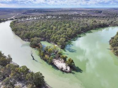 Residential Block For Sale - NSW - Wentworth - 2648 - PRIVATE ISLAND ON THE RIVER  (Image 2)