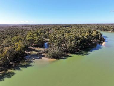 Residential Block For Sale - NSW - Wentworth - 2648 - PRIVATE ISLAND ON THE RIVER  (Image 2)