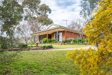Lifestyle For Sale - VIC - Bethanga - 3691 - Convenient, Private and Stunning Rural Lifestyle with scope to enhance (STCA)  (Image 2)