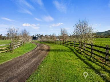 House For Sale - VIC - Toora - 3962 - LUX LIVING MEETS RURAL CHARM  (Image 2)