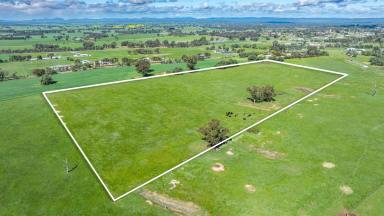 Residential Block For Sale - VIC - Rutherglen - 3685 - Build your dream home in the heart of wine country!  (Image 2)