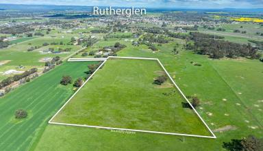 Residential Block For Sale - VIC - Rutherglen - 3685 - Build your dream home in the heart of wine country!  (Image 2)