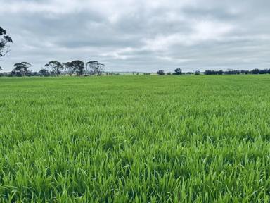 Mixed Farming For Sale - WA - Bally Bally - 6304 - 238ha Freehold Farmland with Avon River Frontage  (Image 2)