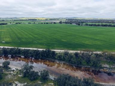 Mixed Farming For Sale - WA - Bally Bally - 6304 - 238ha Freehold Farmland with Avon River Frontage  (Image 2)
