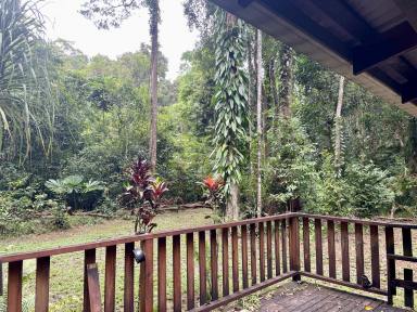 House For Sale - QLD - Daintree - 4873 - SECLUDED COTTAGE IN THE DAINTREE  (Image 2)