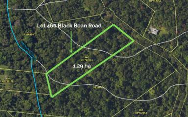 House For Sale - QLD - Daintree - 4873 - SECLUDED COTTAGE IN THE DAINTREE  (Image 2)