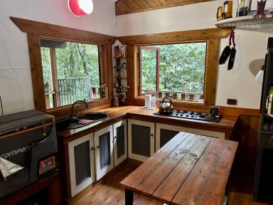 House For Sale - QLD - Daintree - 4873 - SECLUDED COTTAGE IN THE DAINTREE  (Image 2)