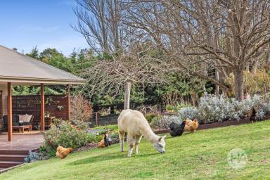 House For Sale - VIC - Mount Eliza - 3930 - Escape to a Lifestyle of Comfort, Space and Serenity  (Image 2)