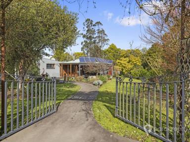 House For Sale - VIC - Woorarra West - 3960 - RELAXING RETREAT SURROUNDED BY NATURE  (Image 2)