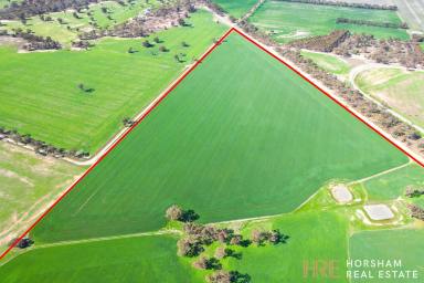 Residential Block For Sale - VIC - McKenzie Creek - 3401 - McKenzie Creek Frontage - Outstanding 196 acres (79.38 ha) farming block  (Image 2)