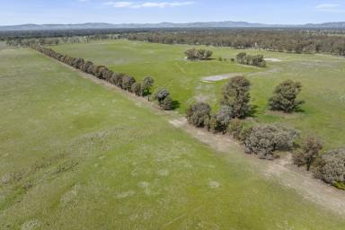 Mixed Farming For Sale - VIC - Miepoll - 3666 - 330 Acres Grazing Property 
$3637 per acre 
11kms from Euroa  (Image 2)