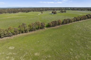 Mixed Farming For Sale - VIC - Miepoll - 3666 - 330 Acres Grazing Property 
$3637 per acre 
11kms from Euroa  (Image 2)
