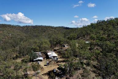 Lifestyle Auction - QLD - Dumgree - 4715 - Rural Retreat 20* mins to Biloela & 50* mins to Gladstone  (Image 2)