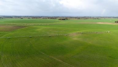 Mixed Farming For Sale - SA - Tintinara - 5266 - EXTENSIVE IRRIGATION DEVELOPMENT WITH WATER SECURITY & DIVERSE PRODUCTION OPTIONS  (Image 2)