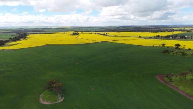 Cropping For Sale - WA - Berkshire Valley - 6510 - Productive Dryland Cropping Opportunity  (Image 2)